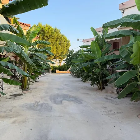 Ak Village